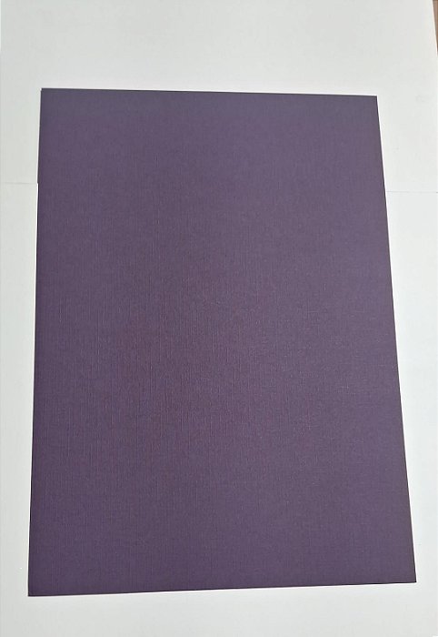PAPEL A4 210X297 COLOR PLUS TELADO MENDONZA 180G C/ 25 FLS