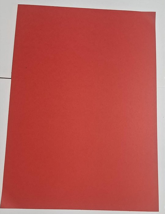 PAPEL A4 210X297 COLOR PLUS TOQUIO 240G C/ 25 FLS
