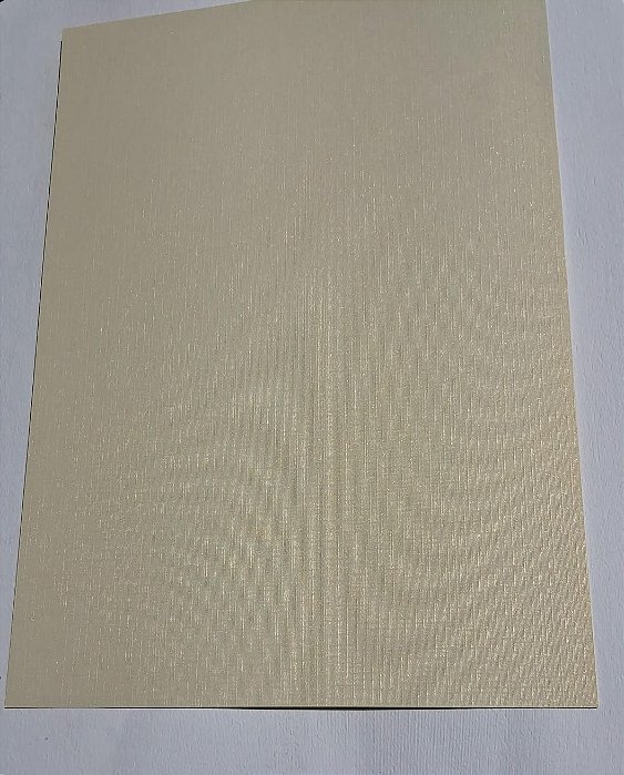 PAPEL A4 210X297 RELUX TELADO CHAMPANHE 180G C/ 10 FLS