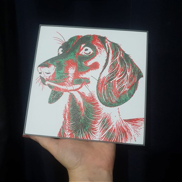 Quadro Decorativo 3D - PET Dachshund