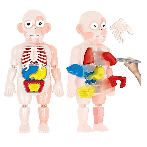 Kit Médico Corpo Humano - Toyng