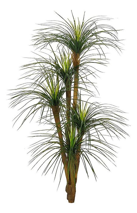Planta Artificial Palmeira Yucca - 1,70 M