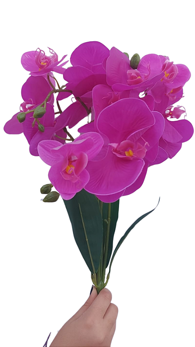 Orquídea Phalaenopsis Galho com 05 hastes 35 cm