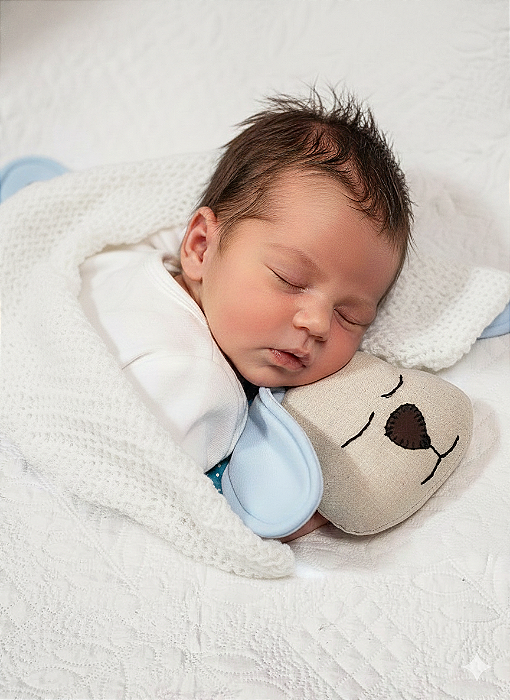 ALMOFADA /TRAVESSEIRO CACHORRINHO