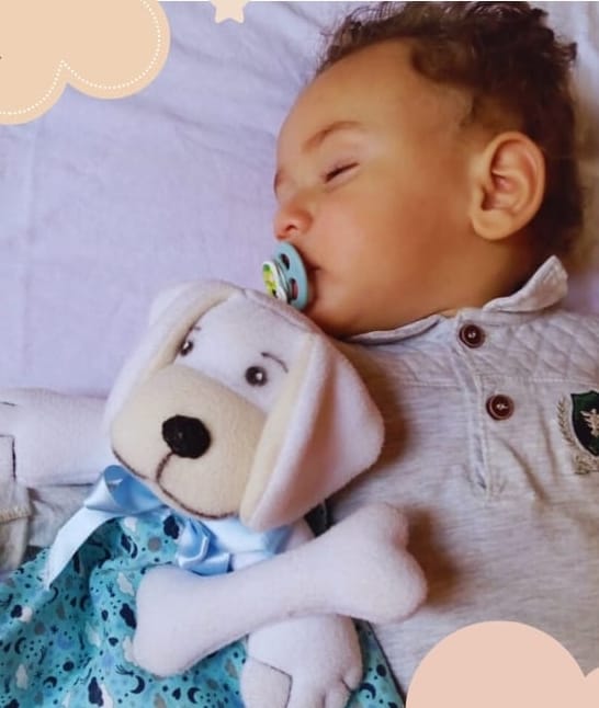 NANINHA CACHORRINHO COM OSSINHO - HIPOALERGÊNICO