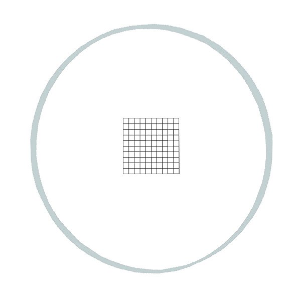 Retículo Quadriculado 10mm/100 divisões - TA-0262