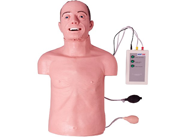 Simulador Torso Geriátrico RCP e Intubação - TGD-4005-GI