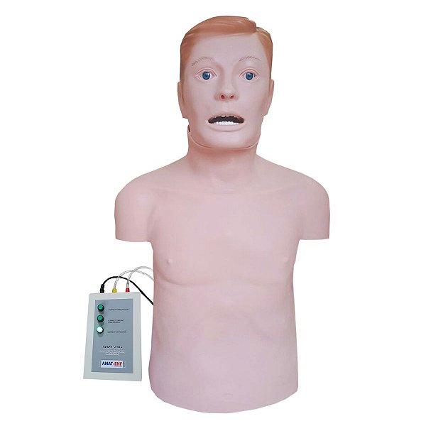 Simulador Torso Adulto para RCP e Intubação - TGD-4005-I