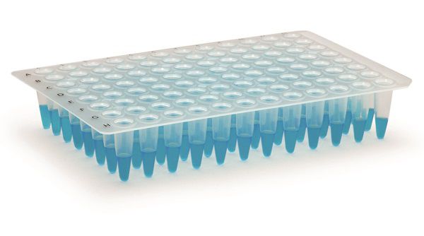 Microplaca de PCR 96 Poços Sem Borda - K4-9610