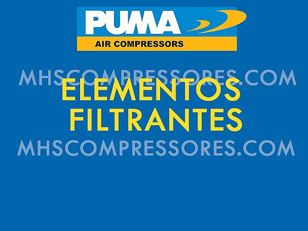 ELEMENTOS FILTRANTES 302.078/302.079 - PUMA SYSTEM