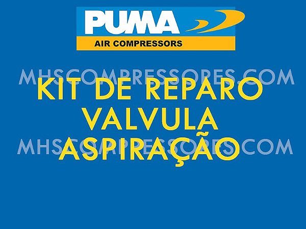 KIT DE REPARO VALVULA ASPIRAÇÃO - PUMA SYSTEM - 148.133