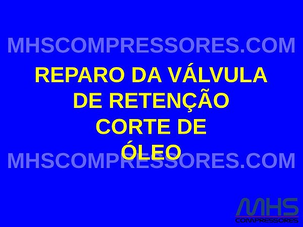 KIT DE REPARO DA VÁLVULA DE RETENÇÃO CORTE DE ÓLEO - 2906009400