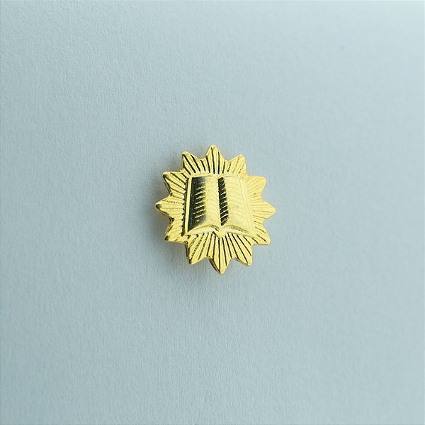 BT-199-D - Pin Mini Joia Orador Dourado