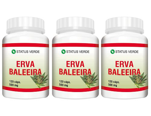 Kit 3 Erva Baleeira 360 Cápsulas - 500mg Status Verde