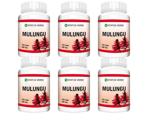 Kit 6 Mulungu 720 Cápsulas 500 mg Status Verde