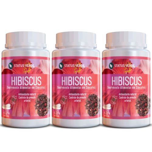 Kit 3 Hibiscus 360Cáps 500mg Status Verde