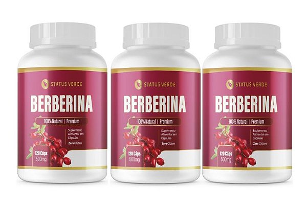 Fito Terapic Kit 3 Berberina 360 Cápsulas 500mg
