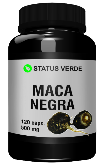 Kit 12 Maca Peruana Negra 1440 Cápsulas 500mg - Status Verde