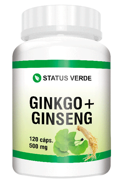 Kit 12 Ginkgo Biloba Com Ginseng 1440 Cápsulas 500mg - Status Verde