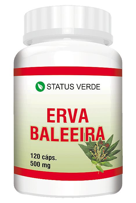 Kit 12 Erva Beleira 1440 Cápsulas - 500mg Status Verde