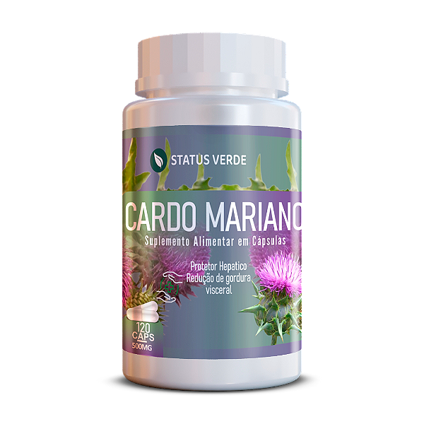 Kit 12 Cardo Mariano 1440 Cápsulas 500mg Status Verde