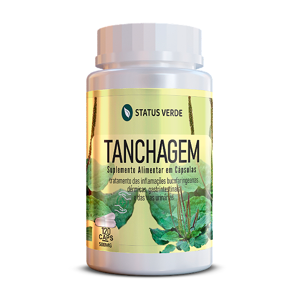 Kit 12 Tanchagem 1440 Cápsulas 500mg Status Verde