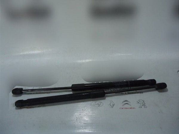 Par Amortecedor Tampa Traseira Renault Duster