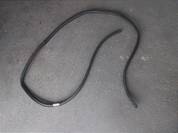 Borracha Vedação Contorno Porta Diant Dir Nissan Versa 19/20