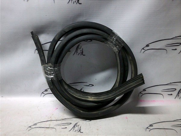 Borracha Porta Traseira Esquerda Renault Kwid 20/21 Original