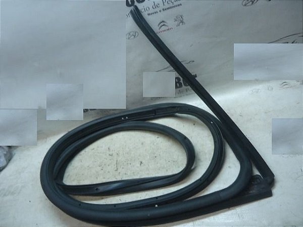Borracha Contorno Da Porta Traseiro Direito Ecosport 16/17