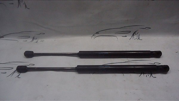 Par Amortecedor Da Tampa Traseira  Duster  18/19 Original