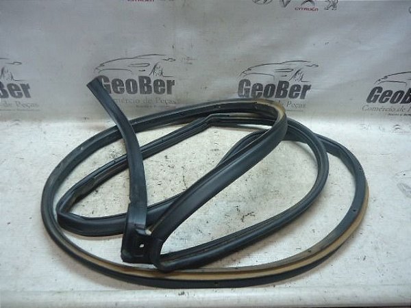 Borracha Contorno Porta Tras Esq New Fiesta Mexicano Sedan