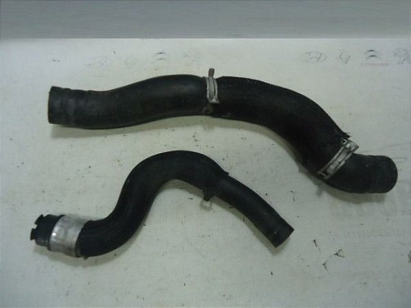 Par De Mangueiras Agua Citroen C4 Lounge 2.0 14/15