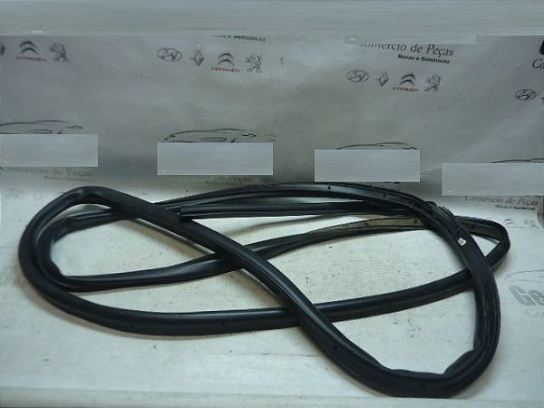 Borracha Contorno Porta Traseiro Esq Ford Ecosport 14/15 Ori
