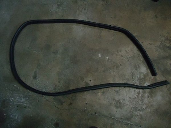Borracha Porta Dianteira Direita Ford Focus 2013