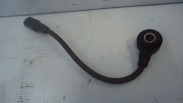 Sensor De Detonaçao C4 Pallas 08 A 11 2.0 Original