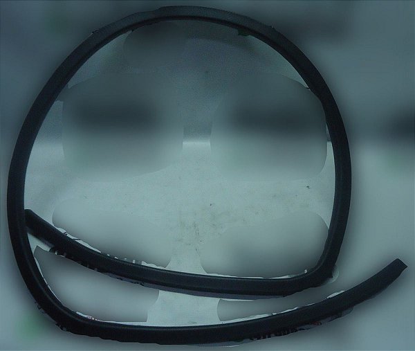 Borracha Porta Dianteiro Esquerdo Nissan March 2018