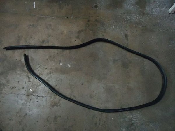 Borracha Porta Traseira Esquerda Ford Focus 2013 Hatch