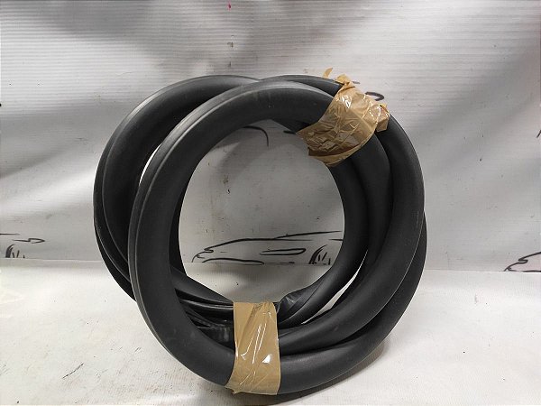 Borracha Porta Traseira Esquerda Peugeot 208 22/23 Original