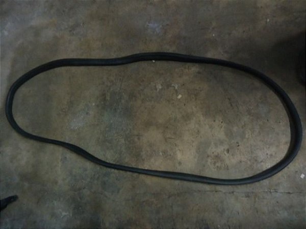 Borracha Da Porta Dianteira Esquerda Ford Ecosport 16/17