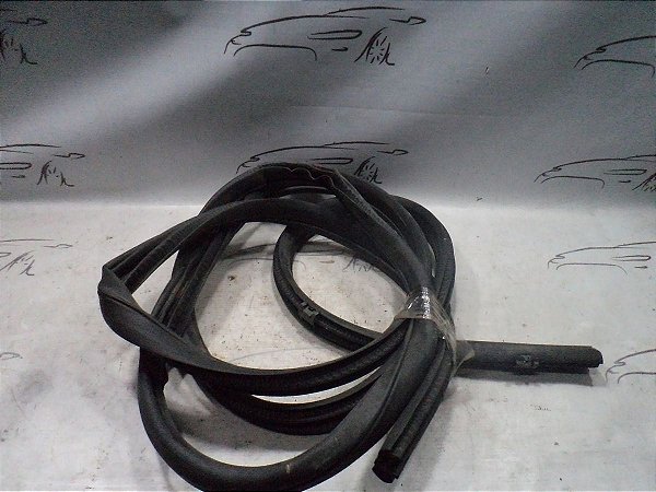 Borracha Da Porta Traseira Esquerda Nissan Kicks 19/20