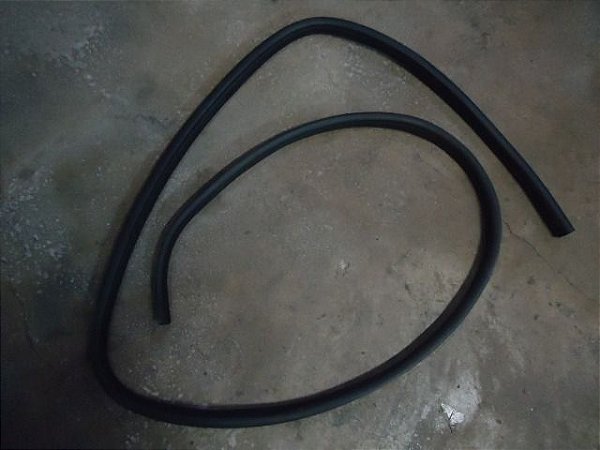 Borracha Porta Dianteira Direita Ford Ecosport 13/13