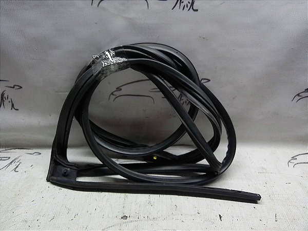 Borracha Contorno Porta Traseira Esquerda Civic G10 2021