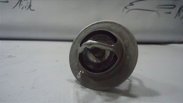 Valvula Termostatica Nissan Versa 15/16 1.6