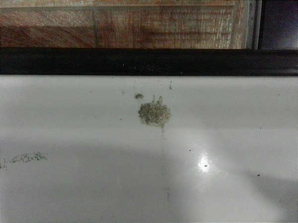 Porta Lataria Traseira Direita Pajero Tr4 2.0 11/12 Detalhe