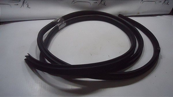 Borracha  Porta Dianteira Direita Nissan Versa 15/16