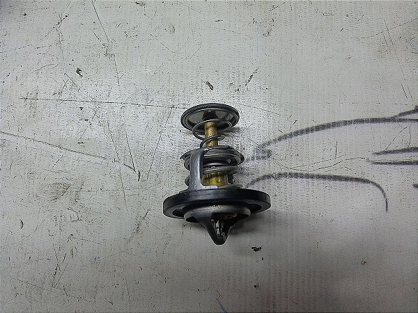 Valvula Termostatica Chery Qq 18/19 1.0 Original