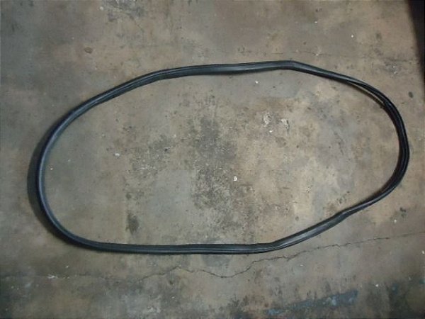 Borracha Da Porta Dianteira Esquerda Honda Civic 2015