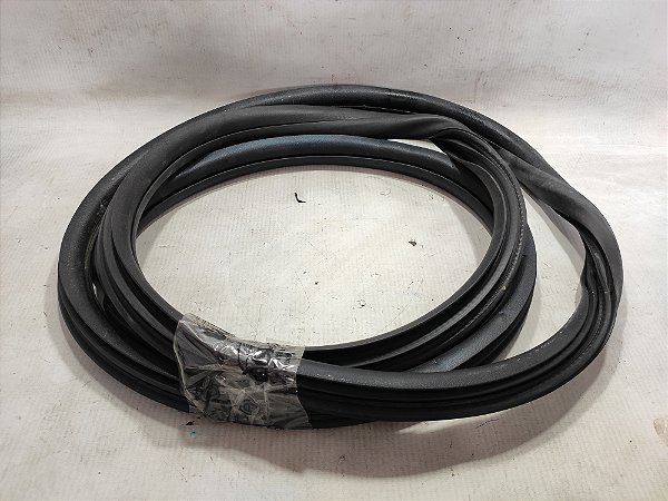 BORRACHA PORTA DIANTEIRO DIREITO PEUGEOT 208 19/20