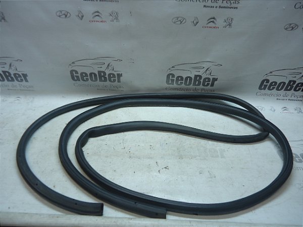 Borracha Contorno Porta Traseira Esq. Ford Focus 2013 Hatch